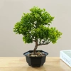 Chậu cây cảnh mô phỏng xanh bình tròn nâu – Trang trí nhà cửa, giảm còn 69.000₫ 7