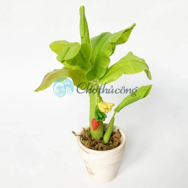 Chậu cây chuối giả mini đất sét Nhật Thái Quà tặng cây mini bàn 54.5k 8