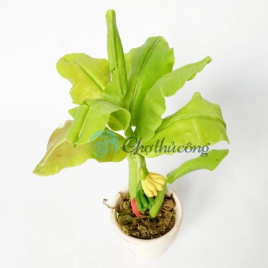 Chậu cây chuối giả mini đất sét Nhật Thái Quà tặng cây mini bàn 54.5k 9