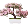 Chậu Cây Giả Phú Quý Cao Cấp Kèm Chậu 25x18cm Đủ Màu Sắc Giá Ưu Đãi 21.120₫ 4