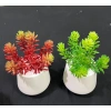 Chậu cây giả sen đá mini để bàn - Trang trí nội thất, chỉ 39.000đ giá gốc 49.920đ 3