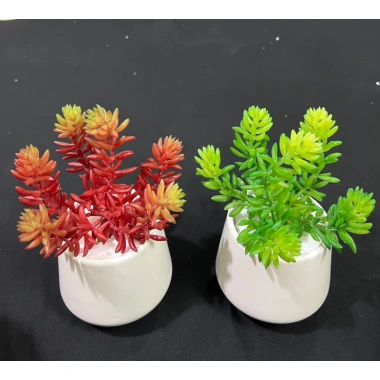 Chậu cây giả sen đá mini để bàn - Trang trí nội thất, chỉ 39.000đ giá gốc 49.920đ