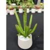 Chậu cây giả sen đá mini để bàn - Trang trí nội thất, chỉ 39.000đ giá gốc 49.920đ 8