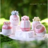 Chậu cây gốm sứ hồng trắng mini CHAUM29 - Trang trí bàn cute, cho hoa sen đá, cây cảnh, chỉ 38.000₫
