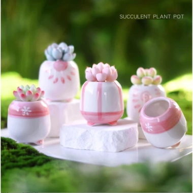 Chậu cây gốm sứ hồng trắng mini CHAUM29 - Trang trí bàn cute, cho hoa sen đá, cây cảnh, chỉ 38.000₫