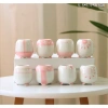 Chậu cây gốm sứ hồng trắng mini CHAUM29 - Trang trí bàn cute, cho hoa sen đá, cây cảnh, chỉ 38.000₫ 3