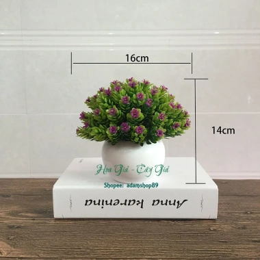 Chậu cây hoa sao điểm mini - Đồ trang trí nội thất sinh động, Giá chỉ 68.000₫ 3