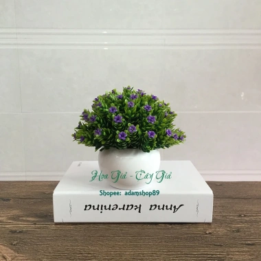Chậu cây hoa sao điểm mini - Đồ trang trí nội thất sinh động, Giá chỉ 68.000₫ 6
