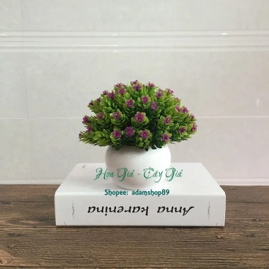 Chậu cây hoa sao điểm mini - Đồ trang trí nội thất sinh động, Giá chỉ 68.000₫ 8