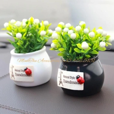 Chậu cây mini đáng yêu trang trí taplo xe hơi, ô tô, bàn làm việc - ưu đãi 29.000₫