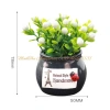 Chậu cây mini đáng yêu trang trí taplo xe hơi, ô tô, bàn làm việc - ưu đãi 29.000₫ 3