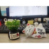 Chậu cây mini đáng yêu trang trí taplo xe hơi, ô tô, bàn làm việc - ưu đãi 29.000₫ 7
