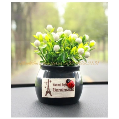 Chậu cây mini đáng yêu trang trí taplo xe hơi, ô tô, bàn làm việc - ưu đãi 29.000₫ 10 Chậu cây mini đáng yêu trang trí taplo xe hơi, ô tô, bàn làm việc - ưu đãi 29.000₫ 10