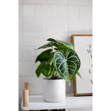 Chậu cây mini giả nhựa + chậu sứ trắng để bàn - Trang trí quán cafe, nhà cửa, chỉ 100.000đ giảm từ 125.000đ Jassi Decor