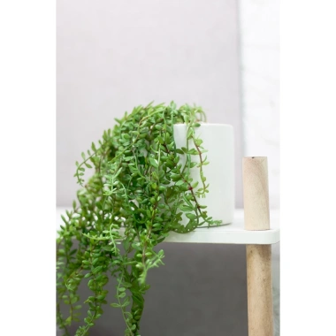 Chậu cây mini giả nhựa + chậu sứ trắng để bàn - Trang trí quán cafe, nhà cửa, chỉ 100.000đ giảm từ 125.000đ Jassi Decor 10 Chậu cây mini giả nhựa + chậu sứ trắng để bàn - Trang trí quán cafe, nhà cửa, chỉ 100.000đ giảm từ 125.000đ Jassi Decor 10