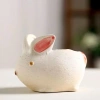 Chậu cây mini hình động vật Sen đá, xương rồng, decor bàn làm việc, giá 45k 4