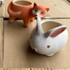 Chậu cây mini hình động vật Sen đá, xương rồng, decor bàn làm việc, giá 45k 8
