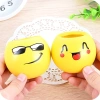 Chậu Cây Mini MOIJ Mặt Cười Đáng Yêu Kèm Đất & Hạt Giống Cỏ Tóc Bộ Trồng Cho Bé Khám Phá 3