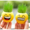 Chậu Cây Mini MOIJ Mặt Cười Đáng Yêu Kèm Đất & Hạt Giống Cỏ Tóc Bộ Trồng Cho Bé Khám Phá 5