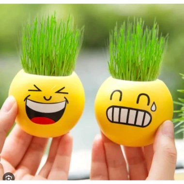 Chậu Cây Mini MOIJ Mặt Cười Đáng Yêu Kèm Đất & Hạt Giống Cỏ Tóc Bộ Trồng Cho Bé Khám Phá 5