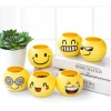Chậu Cây Mini MOIJ Mặt Cười Đáng Yêu Kèm Đất & Hạt Giống Cỏ Tóc Bộ Trồng Cho Bé Khám Phá 6