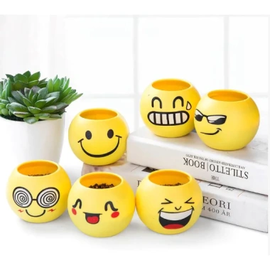 Chậu Cây Mini MOIJ Mặt Cười Đáng Yêu Kèm Đất & Hạt Giống Cỏ Tóc Bộ Trồng Cho Bé Khám Phá 6