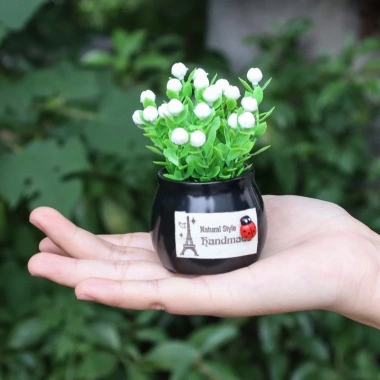 Chậu cây mini trang trí Tablo xe hơi - Dán đế cố định bàn làm việc, giá 45.000₫