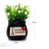 Chậu cây mini trang trí Tablo xe hơi - Dán đế cố định bàn làm việc, giá 45.000₫ 3