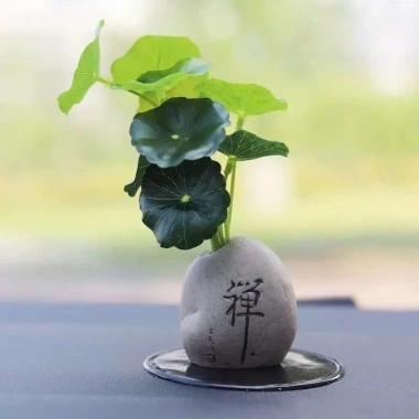 Chậu Cây Mini Trang Trí Taplo Ô Tô, Bàn Làm Việc Xanh Mát Sinh Động - BON BON CAR 4