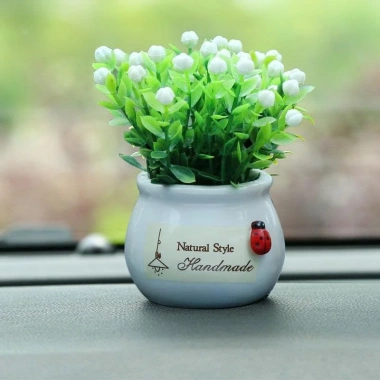 Chậu Cây Mini Trang Trí Taplo Ô Tô, Bàn Làm Việc Xanh Mát Sinh Động - BON BON CAR 5