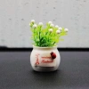 Chậu Cây Mini Trang Trí Taplo Ô Tô, Bàn Làm Việc Xanh Mát Sinh Động - BON BON CAR 6