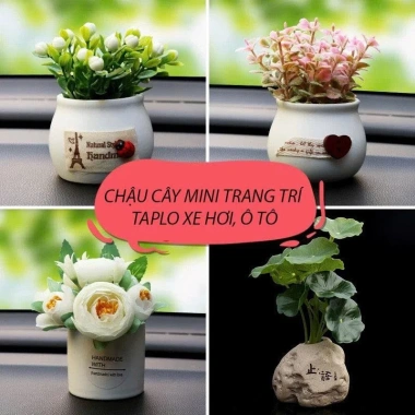 Chậu Cây Mini Trang Trí Taplo Ô Tô, Bàn Làm Việc Xanh Mát Sinh Động - BON BON CAR 7