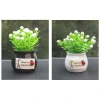 Chậu cây mini trang trí taplo ô tô và bàn làm việc - Giá chỉ 25.000đ giảm mạnh 3