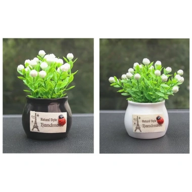 Chậu cây mini trang trí taplo ô tô và bàn làm việc - Giá chỉ 25.000đ giảm mạnh