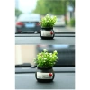 Chậu cây mini trang trí taplo ô tô và bàn làm việc - Giá chỉ 25.000đ giảm mạnh 6