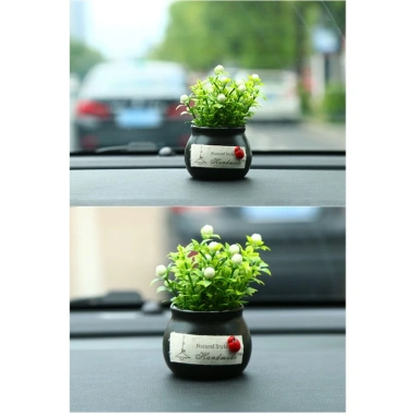 Chậu cây mini trang trí taplo ô tô và bàn làm việc - Giá chỉ 25.000đ giảm mạnh