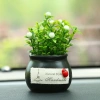 Chậu cây mini trang trí taplo ô tô và bàn làm việc - Giá chỉ 25.000đ giảm mạnh 8