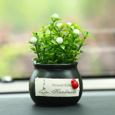 Chậu cây mini trang trí taplo ô tô và bàn làm việc - Giá chỉ 25.000đ giảm mạnh