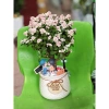 Chậu cây Sen đá đô la Hồng xinh xắn - Quà tặng decor độc đáo giá 80.000₫ 2