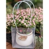 Chậu cây Sen đá đô la Hồng xinh xắn - Quà tặng decor độc đáo giá 80.000₫ 4