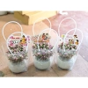 Chậu cây Sen đá đô la Hồng xinh xắn - Quà tặng decor độc đáo giá 80.000₫ 5