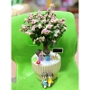 Chậu cây Sen đá đô la Hồng xinh xắn - Quà tặng decor độc đáo giá 80.000₫ 9