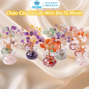 Chậu Cây Tài Lộc Mini Đá Vụn Pag Gems Phong Thủy Hút Tài, Trang Trí Bàn Làm Việc – Giá 75.000₫