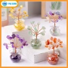 Chậu Cây Tài Lộc Mini Đá Vụn Pag Gems Phong Thủy Hút Tài, Trang Trí Bàn Làm Việc – Giá 75.000₫ 2