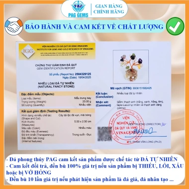 Chậu Cây Tài Lộc Mini Đá Vụn Pag Gems Phong Thủy Hút Tài, Trang Trí Bàn Làm Việc – Giá 75.000₫