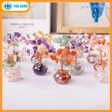 Chậu Cây Tài Lộc Mini Đá Vụn Pag Gems Phong Thủy Hút Tài, Trang Trí Bàn Làm Việc – Giá 75.000₫ 5 Chậu Cây Tài Lộc Mini Đá Vụn Pag Gems Phong Thủy Hút Tài, Trang Trí Bàn Làm Việc – Giá 75.000₫ 5
