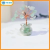 Chậu Cây Tài Lộc Mini Đá Vụn Pag Gems Phong Thủy Hút Tài, Trang Trí Bàn Làm Việc – Giá 75.000₫ 7