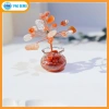 Chậu Cây Tài Lộc Mini Đá Vụn Pag Gems Phong Thủy Hút Tài, Trang Trí Bàn Làm Việc – Giá 75.000₫ 9