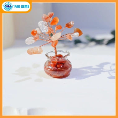 Chậu Cây Tài Lộc Mini Đá Vụn Pag Gems Phong Thủy Hút Tài, Trang Trí Bàn Làm Việc – Giá 75.000₫