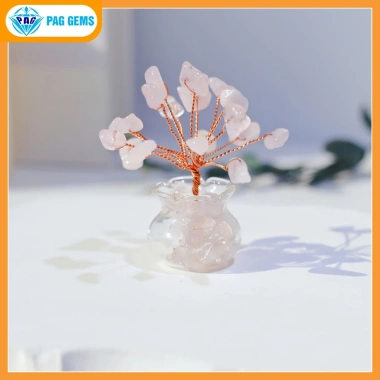 Chậu Cây Tài Lộc Mini Đá Vụn Pag Gems Phong Thủy Hút Tài, Trang Trí Bàn Làm Việc – Giá 75.000₫